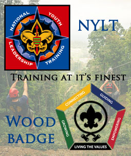 nylt & woodbadge