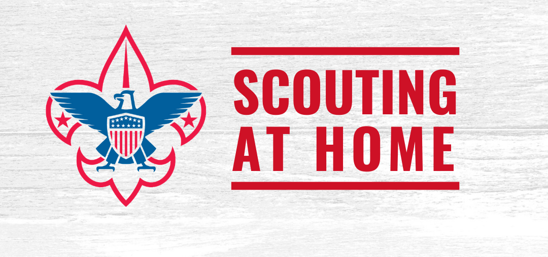 Scouting at Home